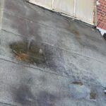 quality Moss Removal in Warwick