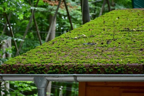 Roof Cleaning Warwick