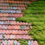 Roof Moss clearance near me Warwick