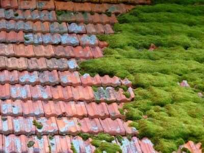 Roof Moss clearance near me Warwick