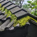 Warwick Roof Moss Removal