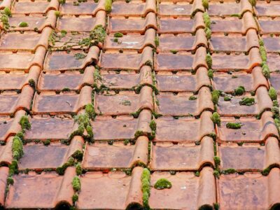 Roof Moss Removal specialists in Warwick