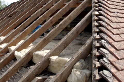 <b>Roof</b> Surveys & Inspections