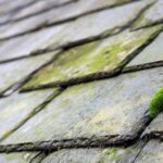 Roof moss clearance in Warwick